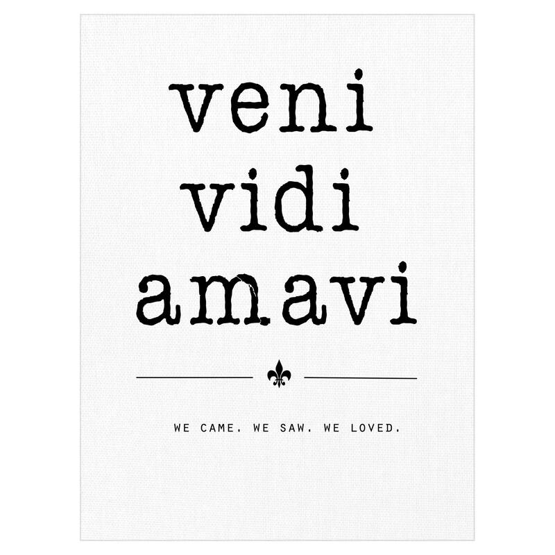 Veni Vidi Amavi Canvas Art Print