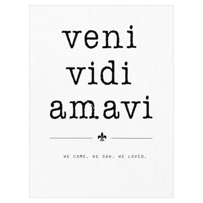 Veni Vidi Amavi Canvas Art Print