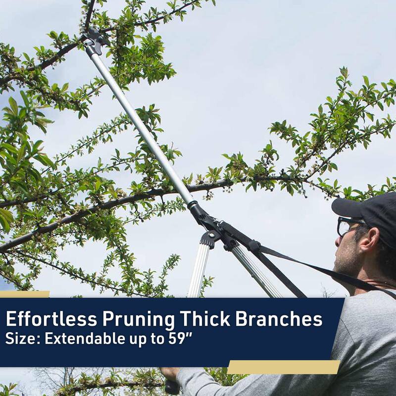 Tree Trimmer Pruning Shears - 59” Long Reach Pruner with Rotating Head and Sharp Bypass Loppers by Kings County Tools