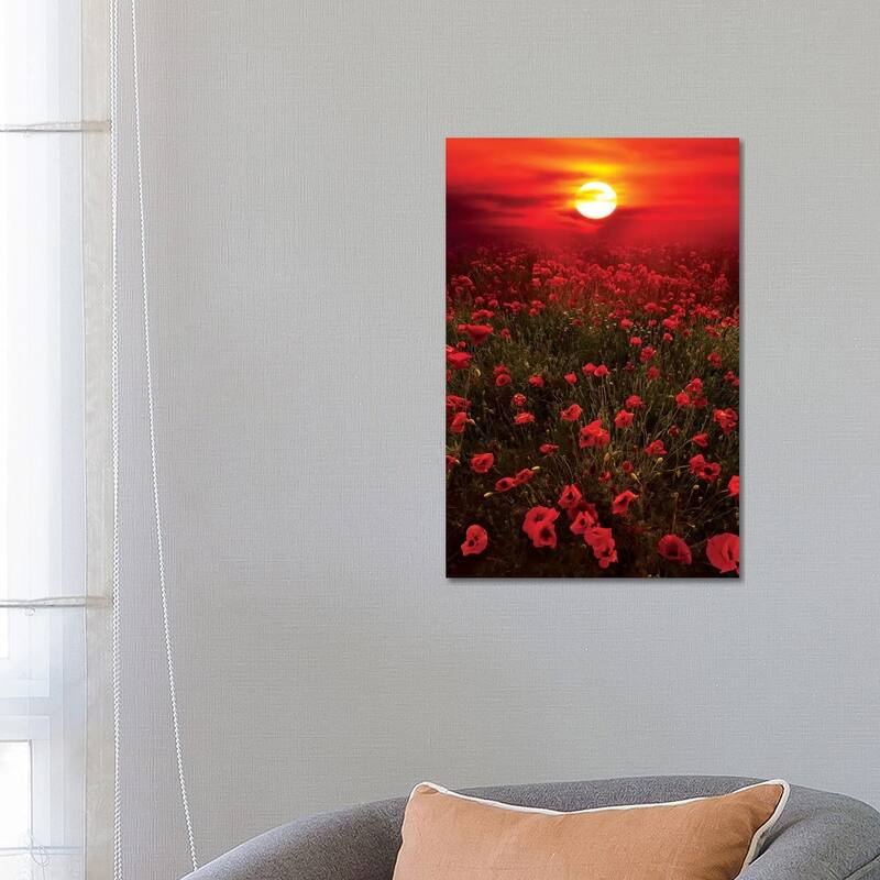iCanvas "Warm Sunset" by Marco Carmassi Canvas Print - 26x18x1.5