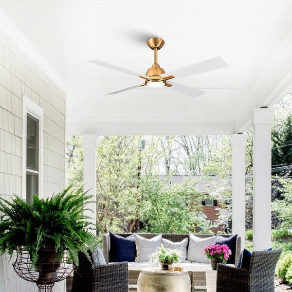 Parrot Uncle 48 Gold Indoor Integrated LED Ceiling Fan Modern