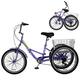Option Purple