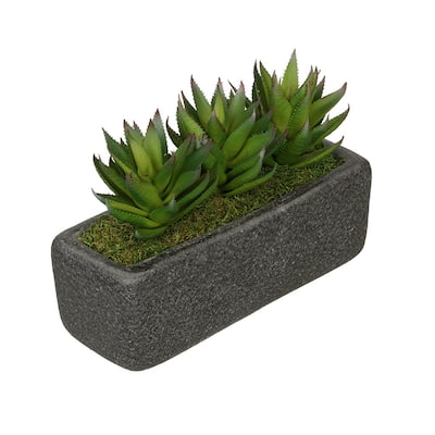 Faux Green Aloe Garden in Black Sandy-Texture Ceramic Vase