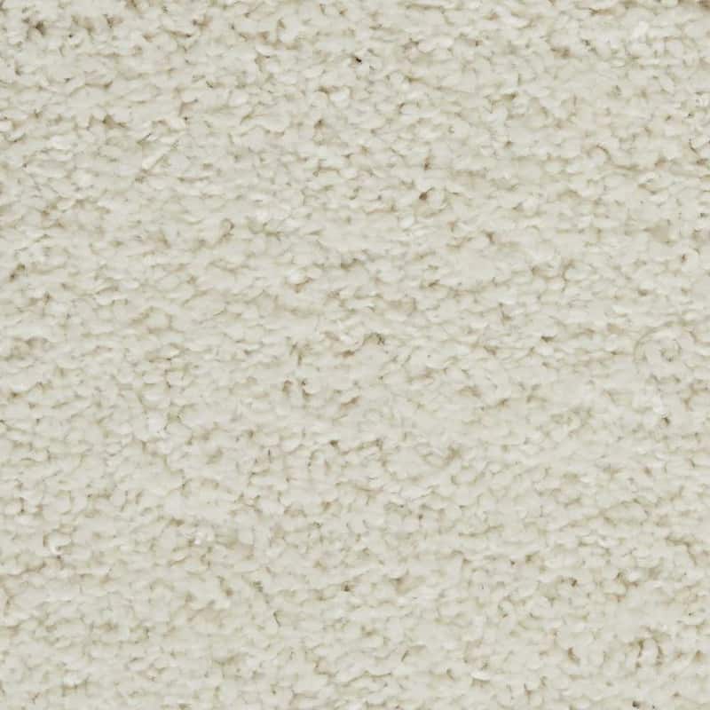 Nourison Shangri-La Solid Modern Plush Shag Area Rug