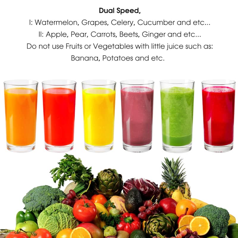 Wide Mouth Stainless Steel 2 Speed Centrifugal Juicer