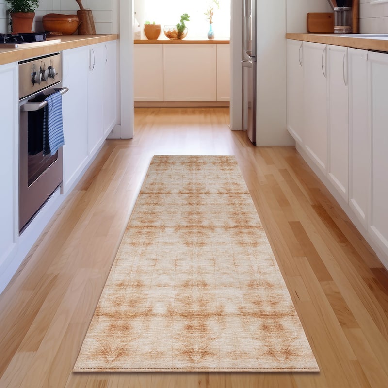 Premium Washable Super Soft Modern Glam Mayfield Rug - Salmon - 2' 3" x 7' 6" - Runner