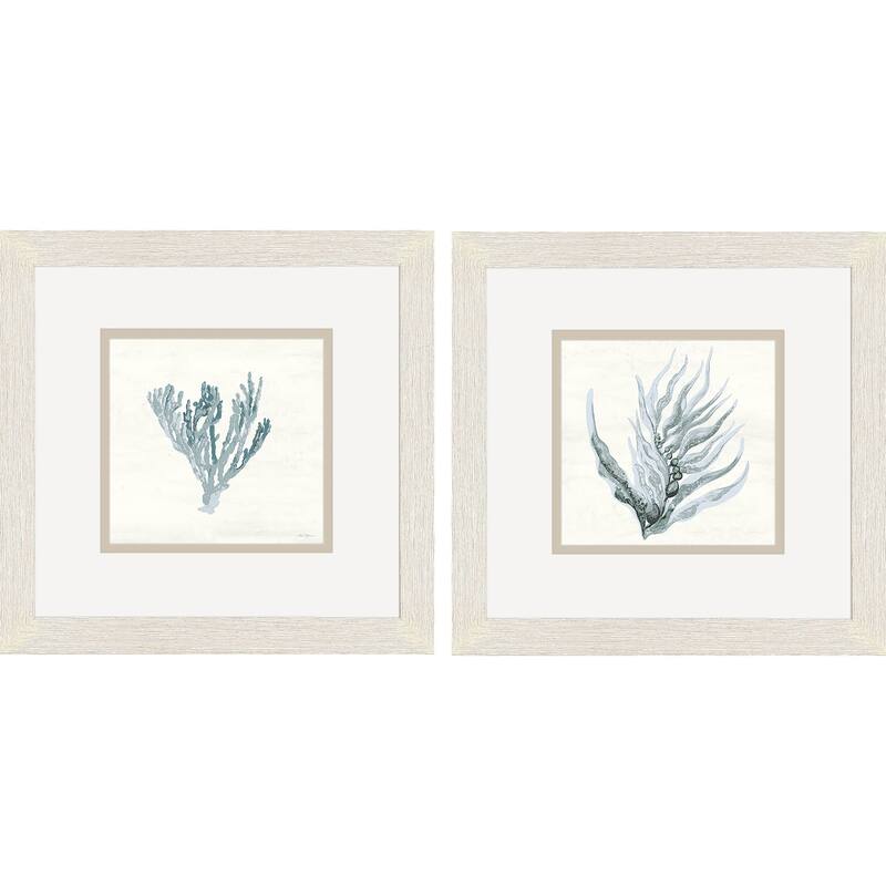 Ocean Flora S/2 Framed Art Under Glass - 11 X 11 X 1