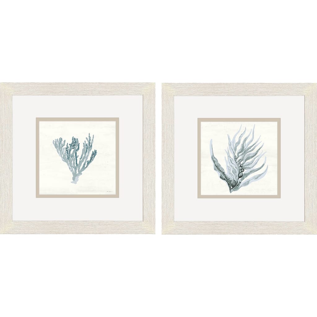 Ocean Flora S/2 Framed Art Under Glass