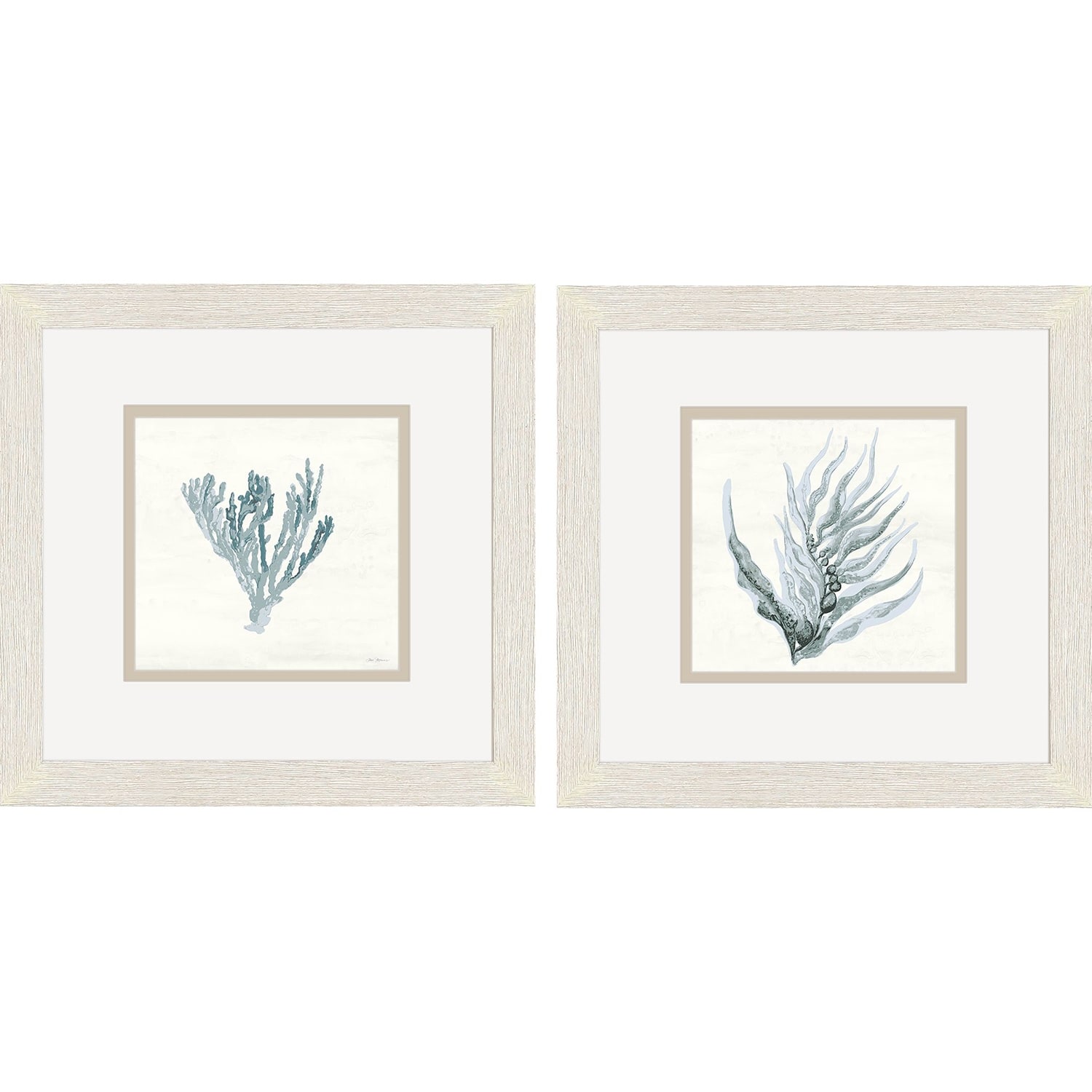Ocean Flora S/2 Framed Art Under Glass