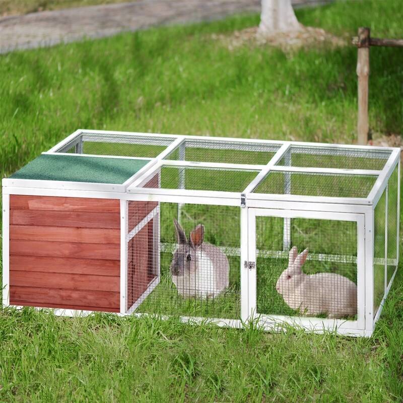 overstock rabbit hutch