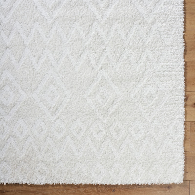 Livabliss Nomadic Boho Modern Plush Area Rug
