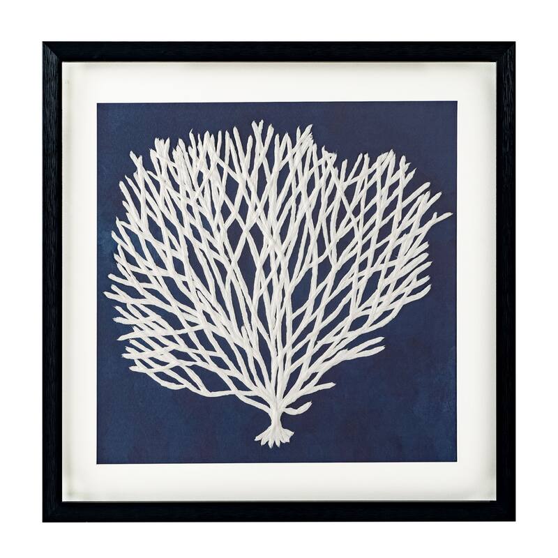 Sea Fan, Shadow Box