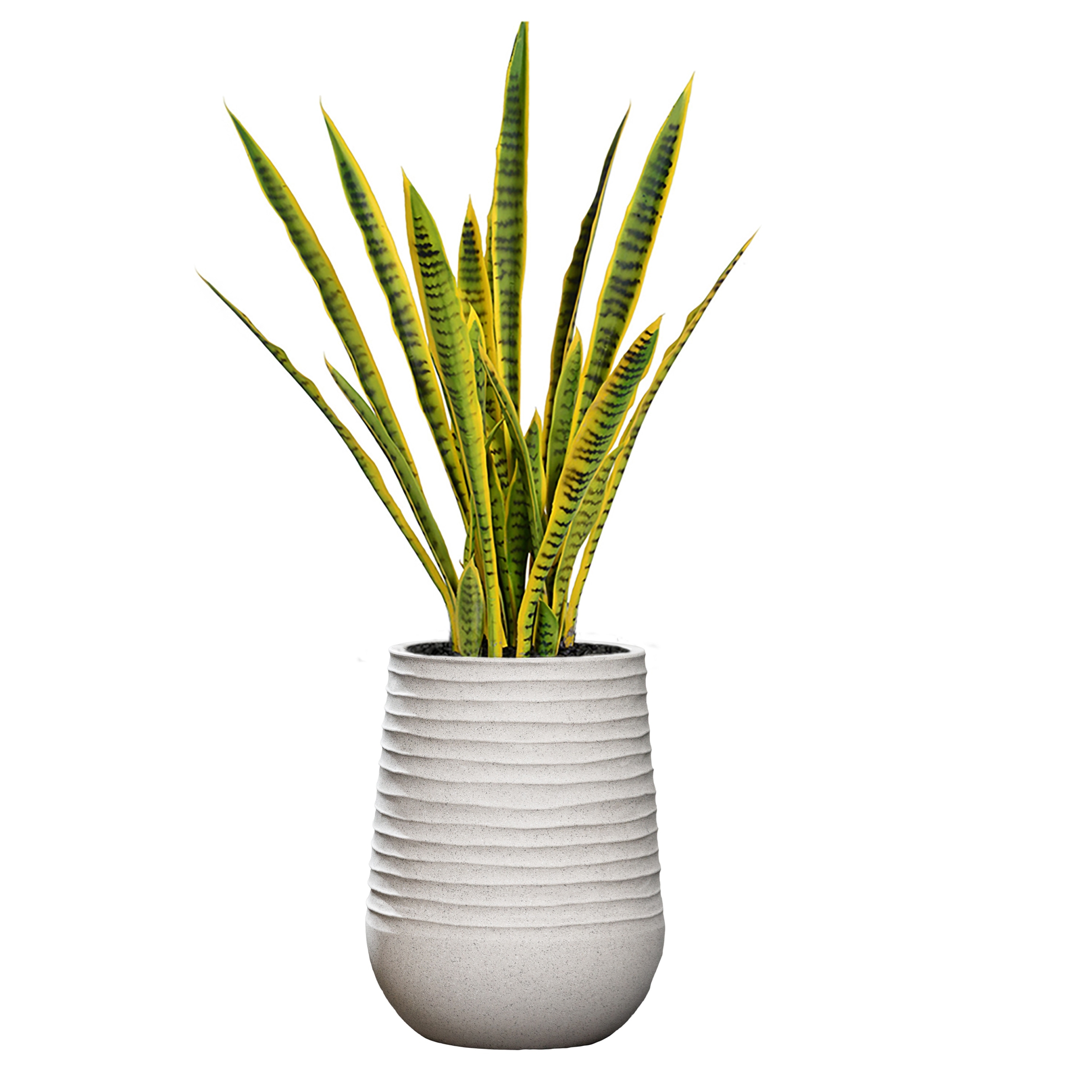 TV Console Table with Adjustable Shelves, 1 Drawer and Open Shelf Bed