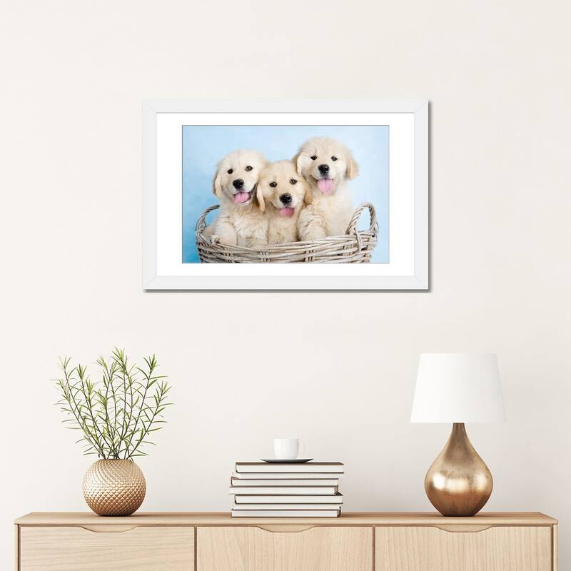 iCanvas "Buffy, Biskit, And Beau" by Rachael Hale