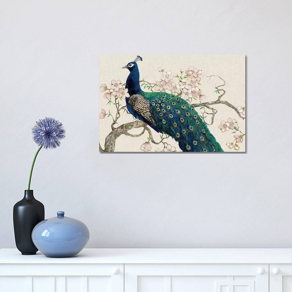 iCanvas "Peacock & Blossoms II" by Tim OToole Canvas Print