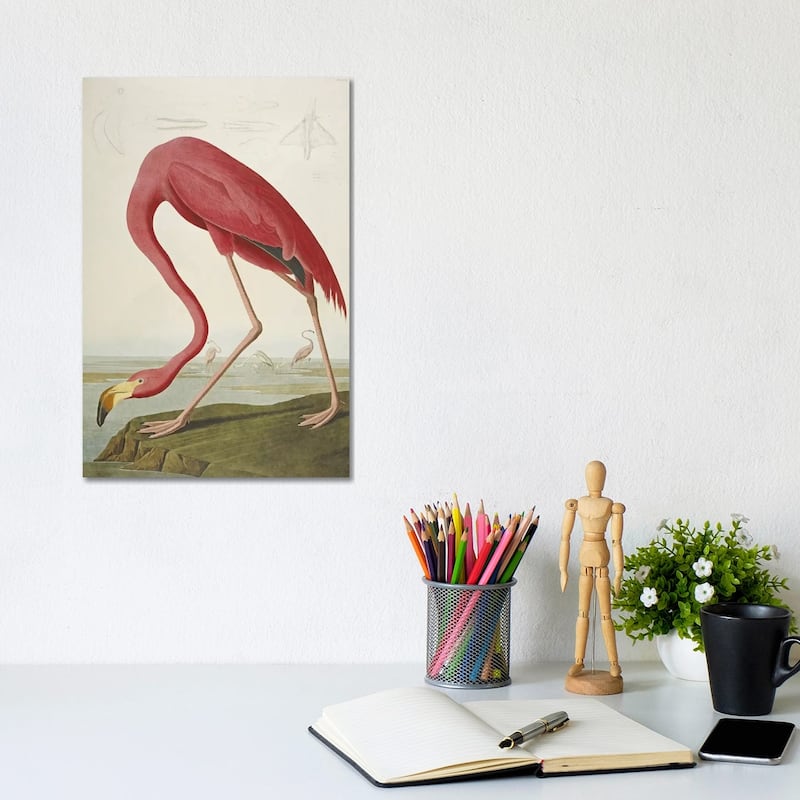 iCanvas 'American Flamingo' by John James Audubon Canvas Print - 12x8x0.75