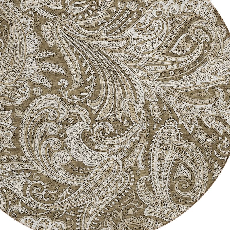 HomeRoots Paisley Transitional Rectangle Outdoor Rug