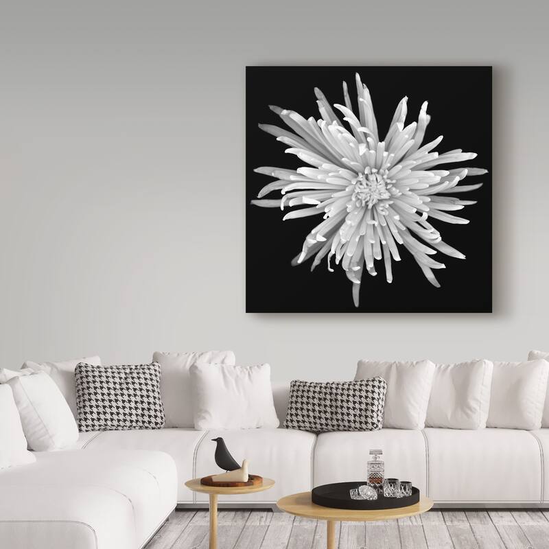 Susan S. Barmon 'Chrysanthemum 1 Black And White' Canvas Art