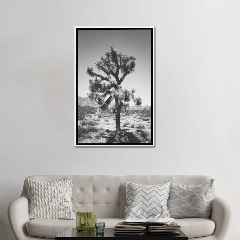 iCanvas "Joshua Tree I" by Ann Hudec Framed Canvas Print
