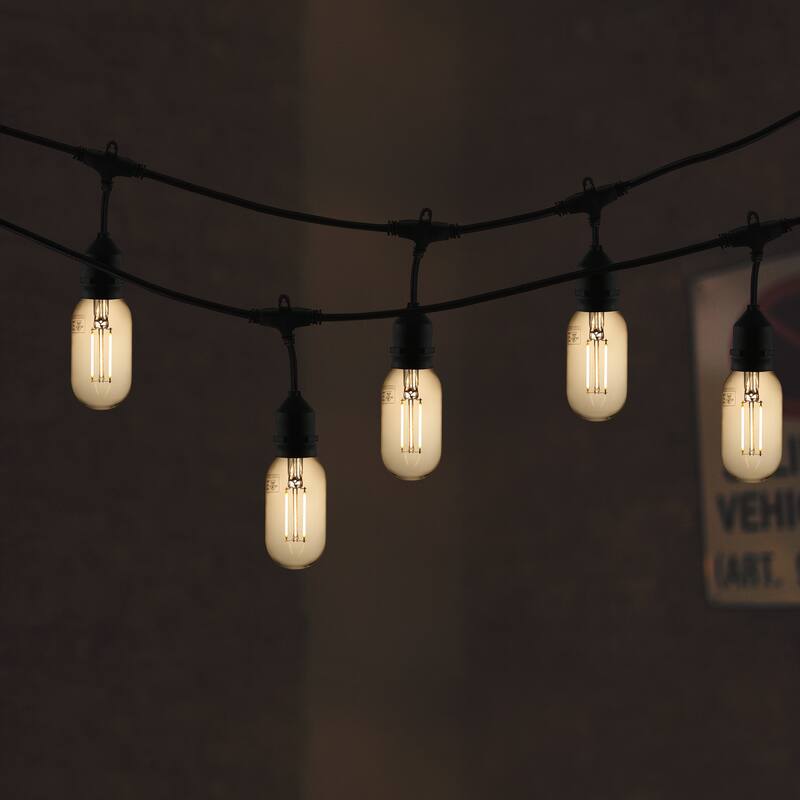 Light Society Kashan T14 Clear LED Filament Light Bulb (Set of 6)