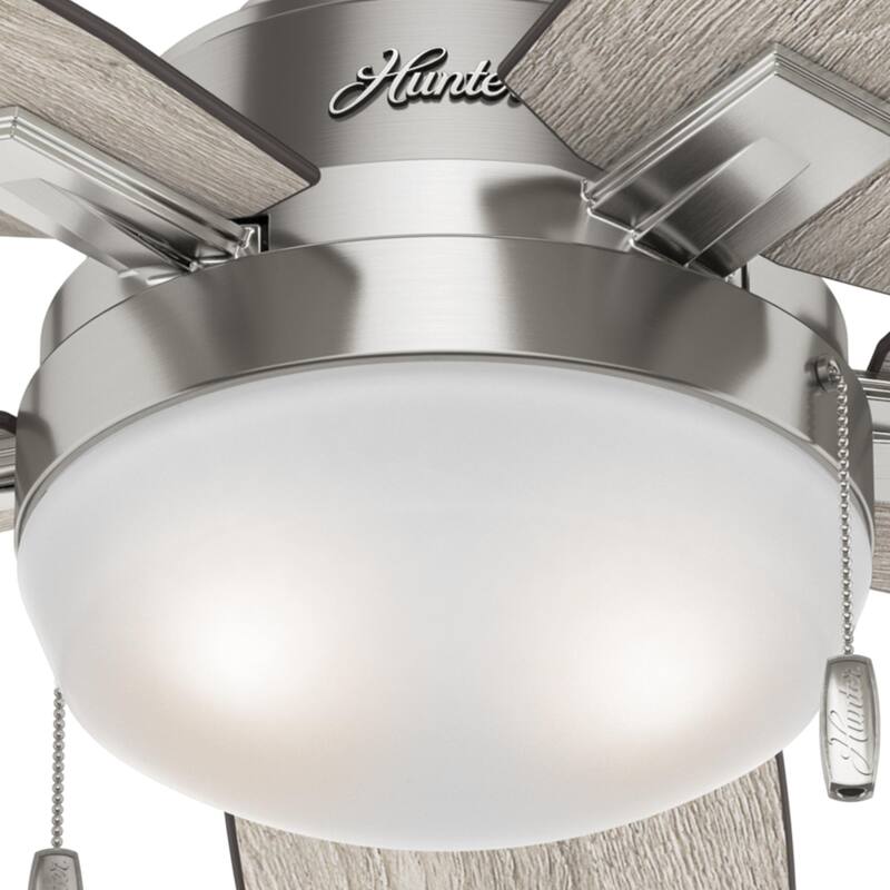 Hunter Morgantown Ceiling Fan with LED Light, Pull Chain - Transitional, Contemporary