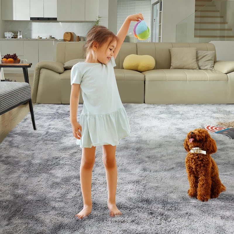 4X6 Fluffy Shag Area Rugs, Super Soft Rugs for Living Room