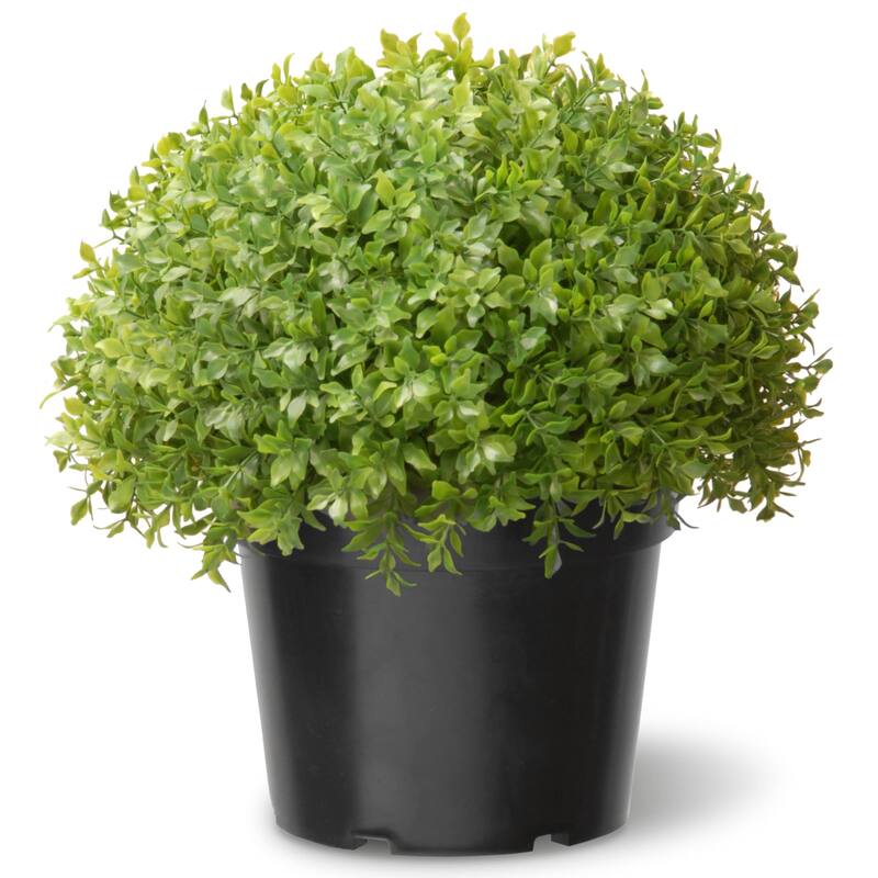 National Tree Company 13-inch Globe Japanese Holly Bush Topiary - 13 IN