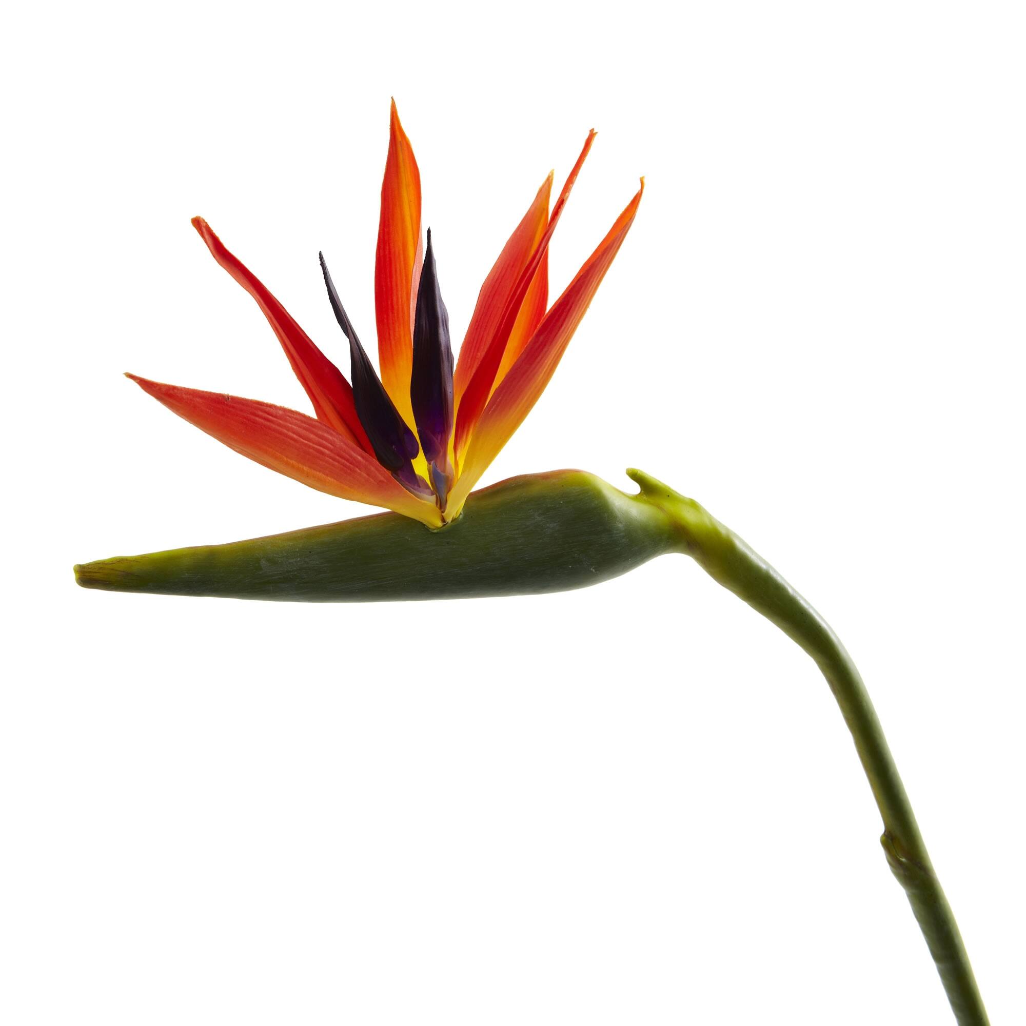 38'' Large Bird of Paradise Artificial Flower (Set of 4) 38 Bed Bath & Beyond 36911755