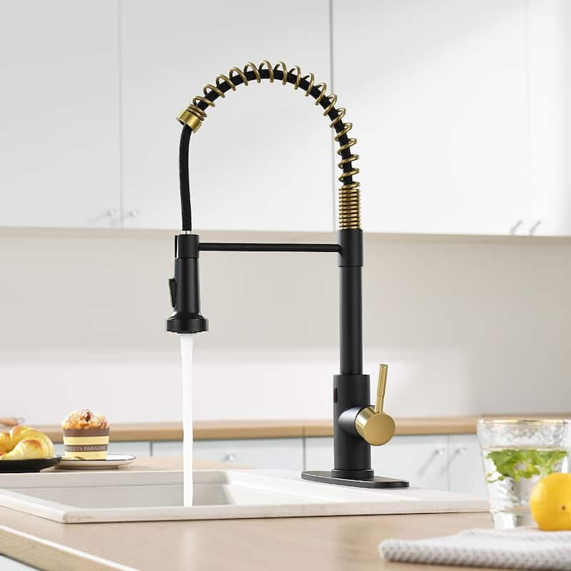 Kitchen Faucet with Battery Control Valve