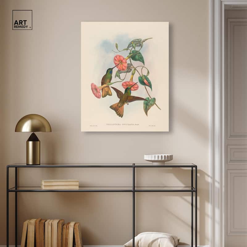 Gould's Hummingbirds Canvas by Art Remedy, Gallery Wrapped