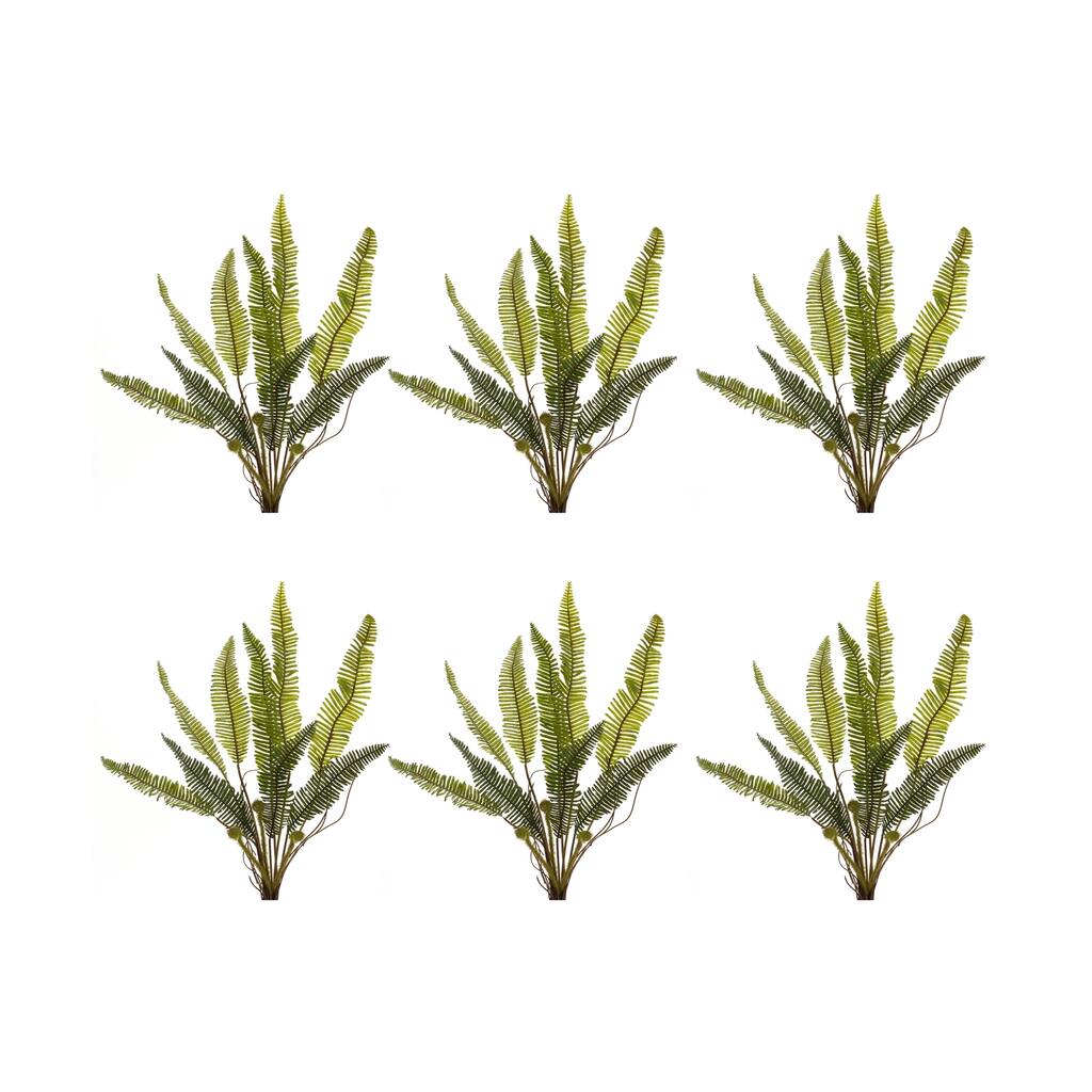 Fern Plant (Set of 6)