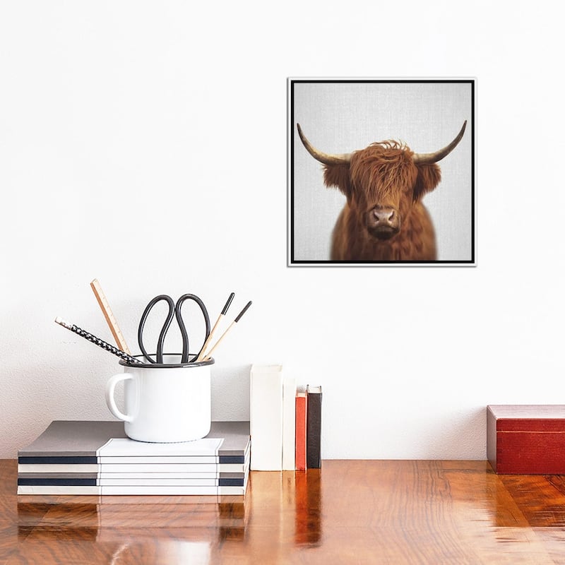 iCanvas "Highland Cow" by Gal Design Framed Canvas Print