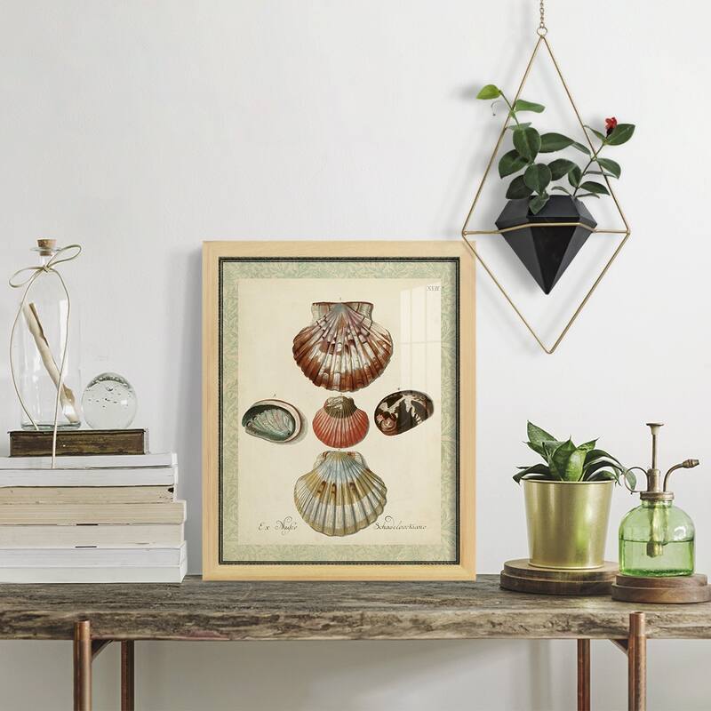 Bookplate Shells III -Framed Print w/glass-Cherry Red