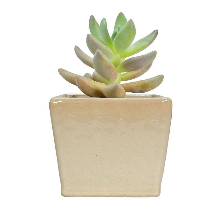 Square Ceramic Flower Planter Pot