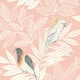 Option Pink Sunset and Ivory
