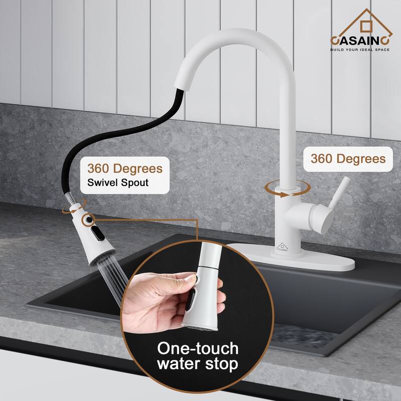 Pull Down Sprayer Kitchen Faucet with Dual Function Sprayer