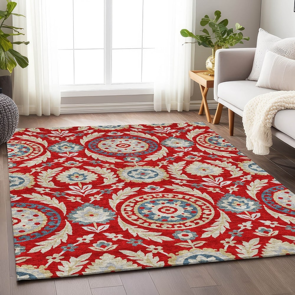 Premium Washable Super Soft Boho Global Mayfield Rug