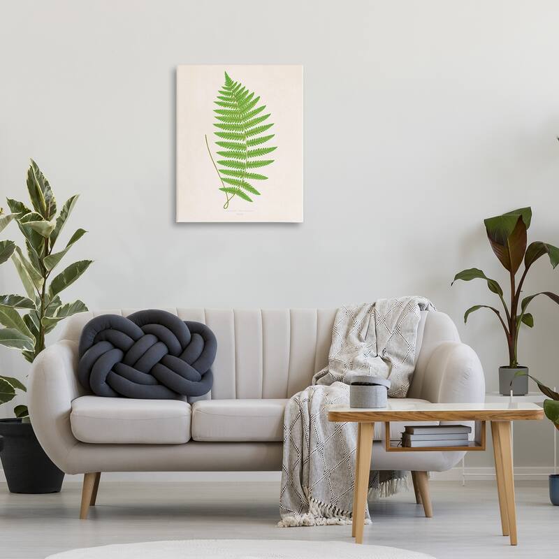 Stupell Single Fern Branch Canvas Wall Art Design By Phillipa Katz