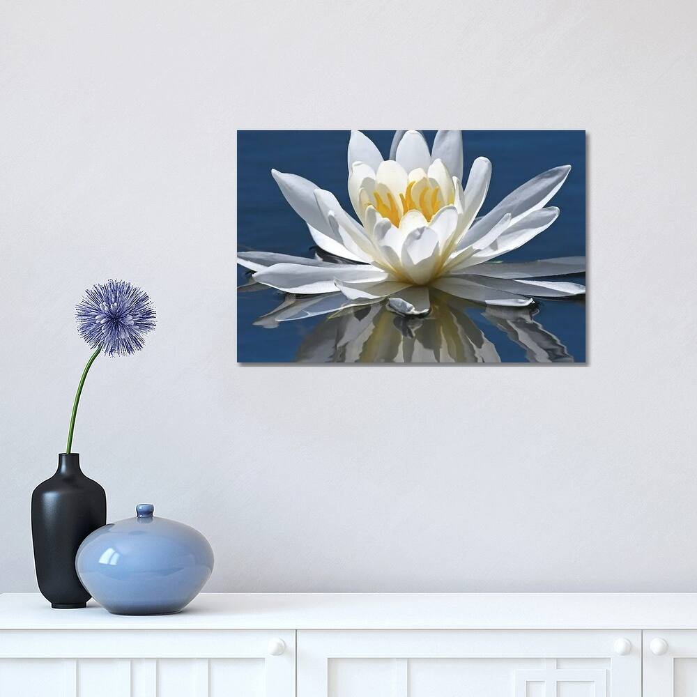 iCanvas "Reflection Of Water Lily" by Brian Wolf Canvas Print