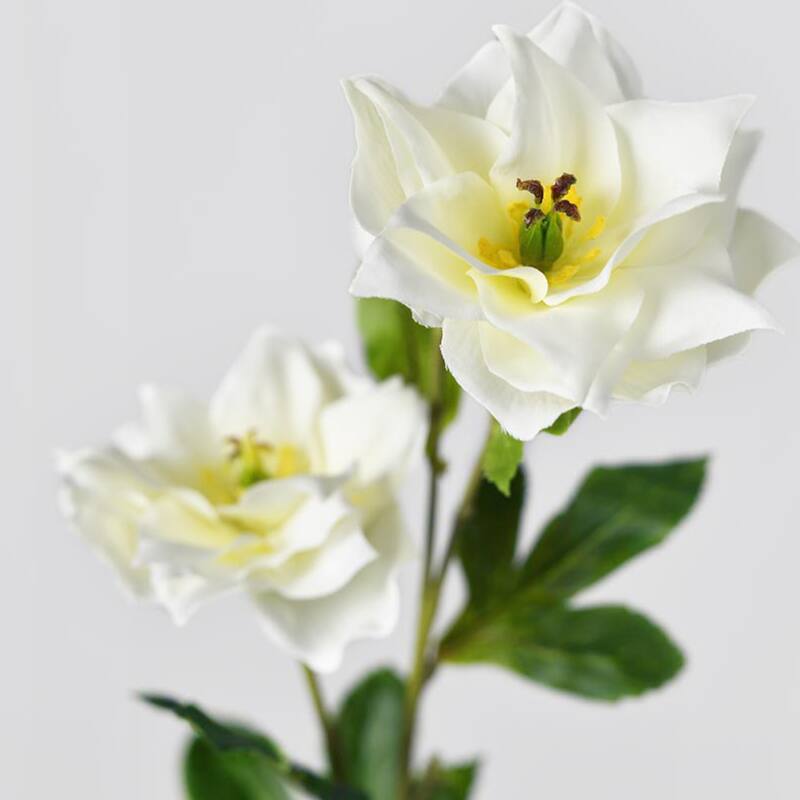 Silk Decorative Artificial Persian Buttercup(Pack of 1 Branch)