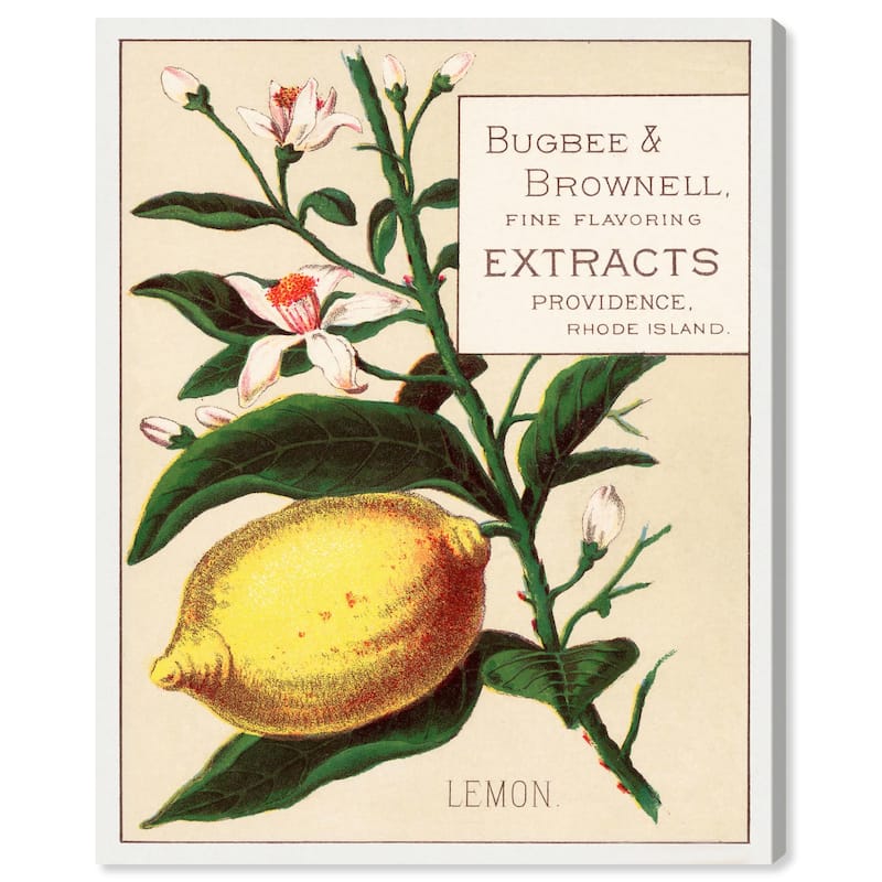 Lemon Canvas by Art Remedy, Gallery Wrapped - 24" x 30"