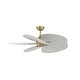 preview thumbnail 6 of 4, Fanimation Islander DC 22 inch Indoor/Outdoor Ceiling Fan Wide Oval Palm-Inspired Blades - Set of 5