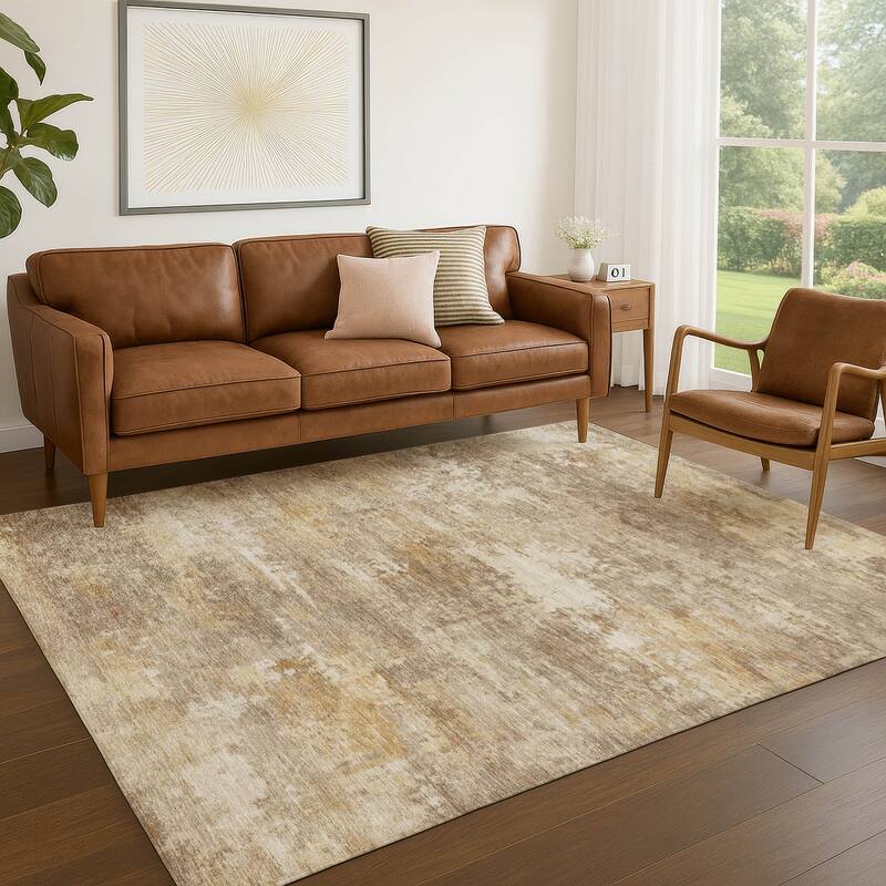 Machine Washable Indoor/ Outdoor Casual Ombre Chantille Rug