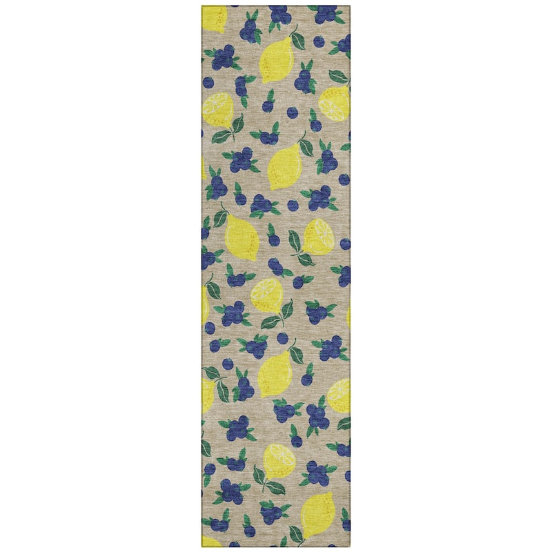 Machine Washable Indoor/ Outdoor Citrus Berry Chantille Rug