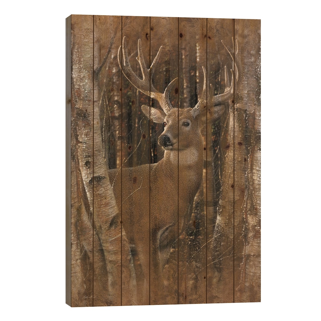 Birchwood Buck, Vertical Print On Wood by Collin Bogle - Multi-Color