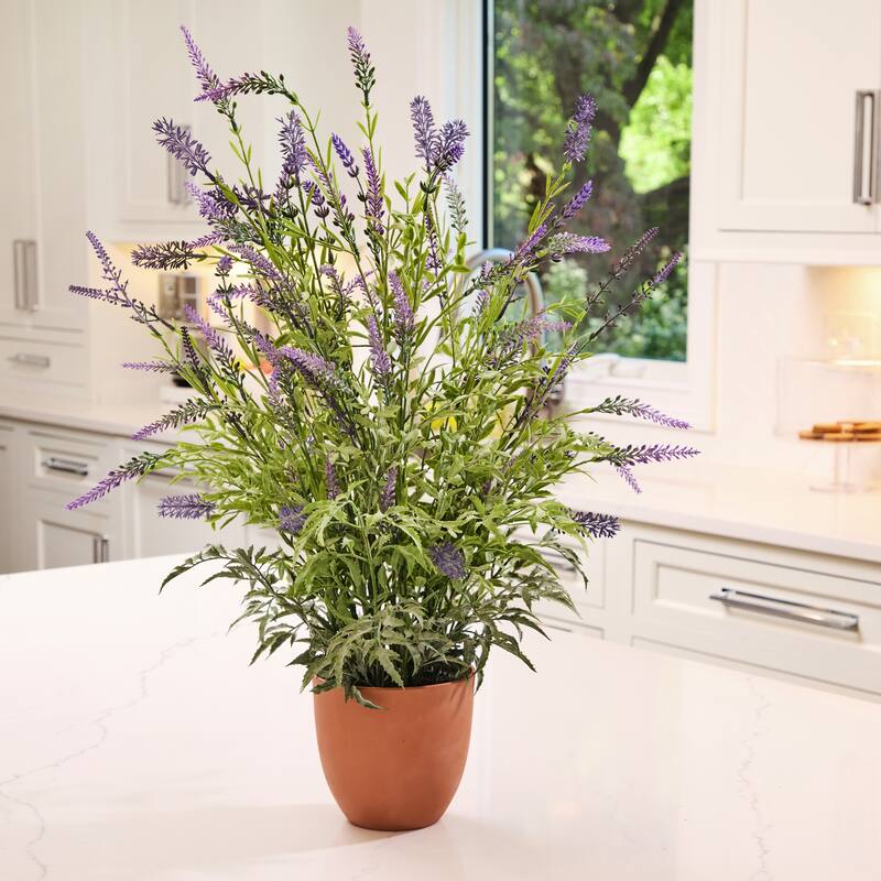25" Potted UV Lavender Plant