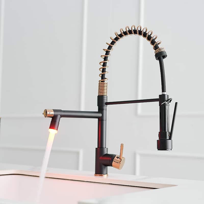 2-Spout Single-Handle Kitchen Faucet with LED Light