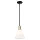 Option Black Antique Brass / Matte White