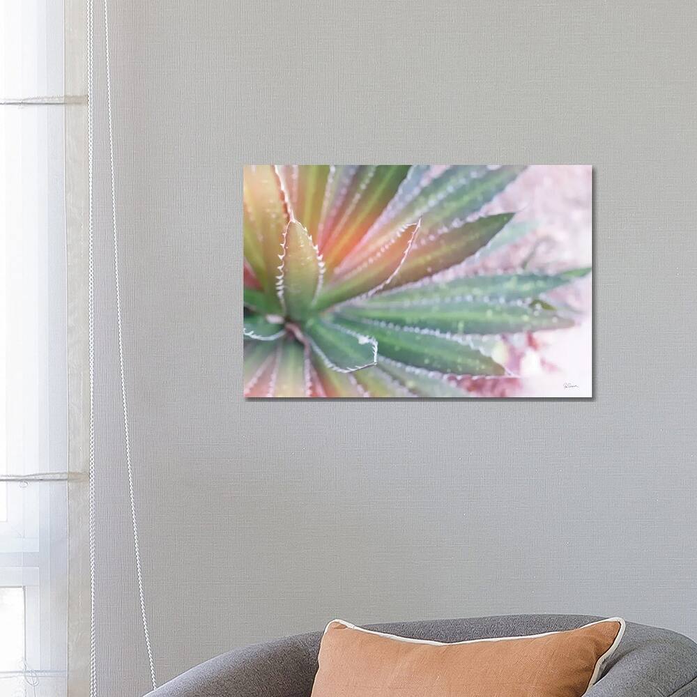 iCanvas "Dream Desert I" by Sue Schlabach Canvas Print