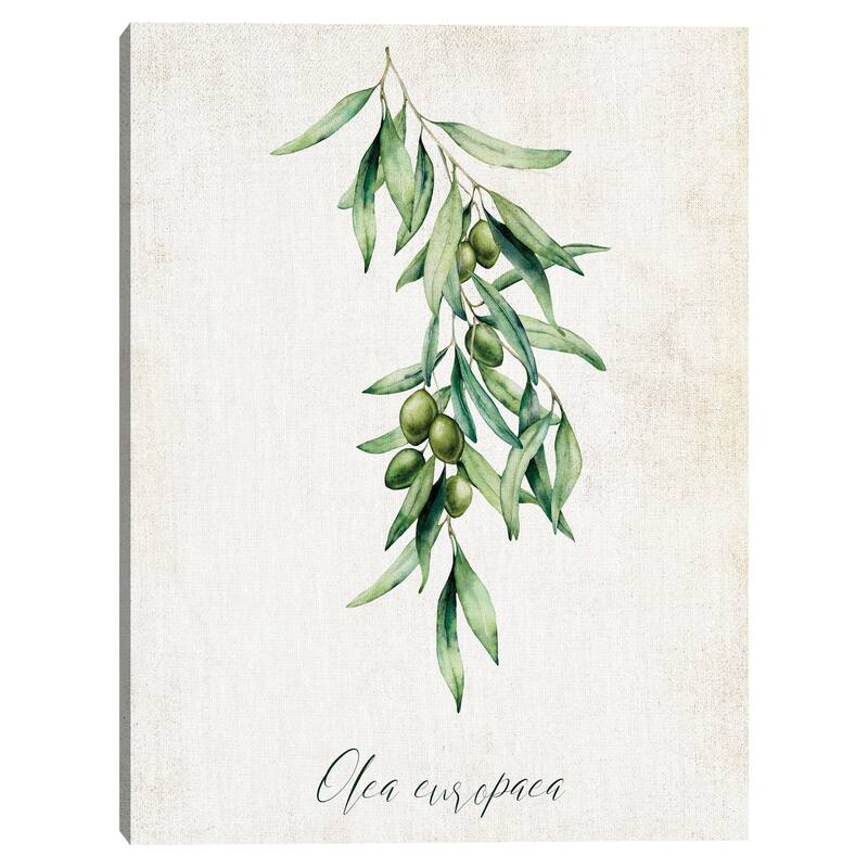 Olives Canvas Art Print